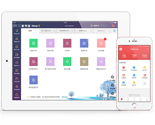 石家庄管家婆软件 fzishop